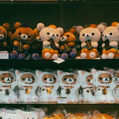 Shelves of neatly arranged pet food and toys